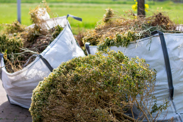 Best Junk Hauling Services  in White Hall, WV