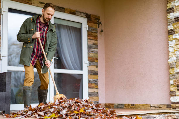 Debris Removal in White Hall, WV